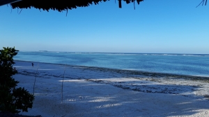 Strandverlenging Tanzania - strand!